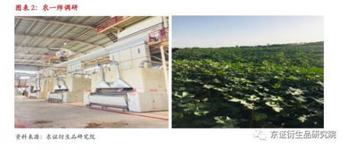 新疆棉花實(shí)地調(diào)研報(bào)告·南疆篇 印染加工的現(xiàn)狀與未來